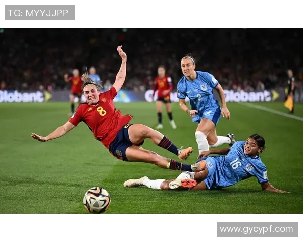 足球世界杯球员位置分布及角色研究