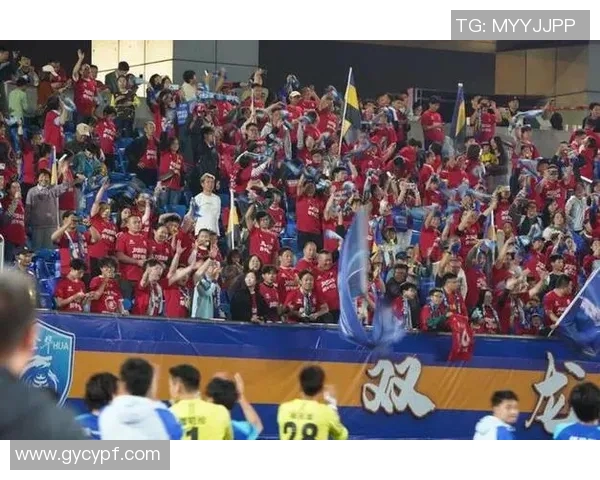 球迷众筹建训练场仅用10天便达成筹资目标展现足球热情与支持力量